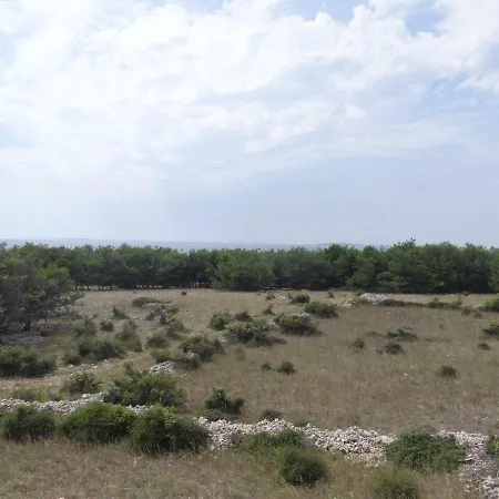 Bura Апартаменты *